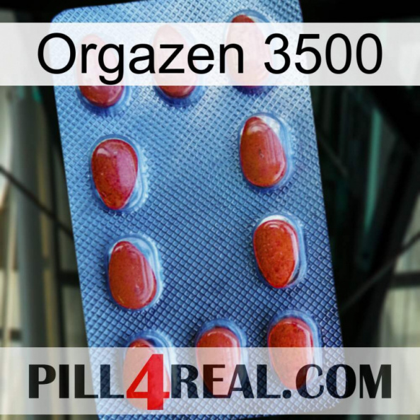Orgazen 3500 06
